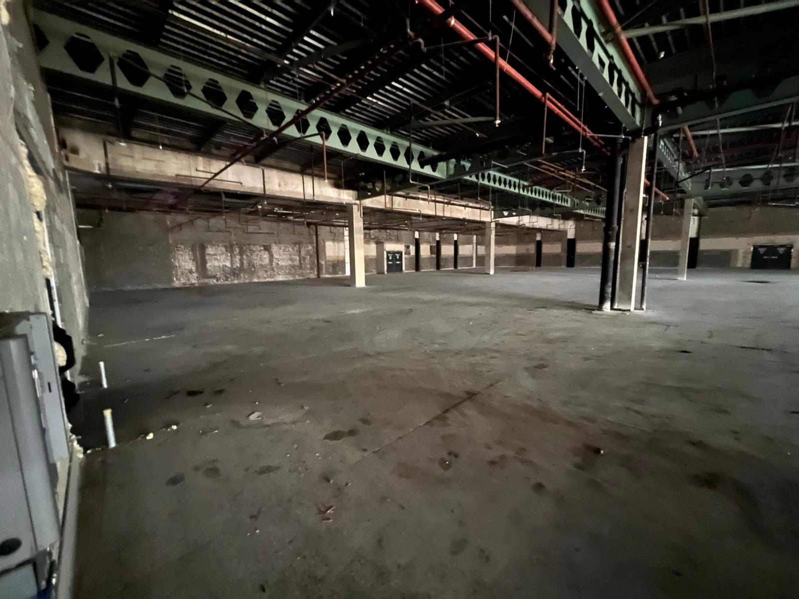 strip out contractors