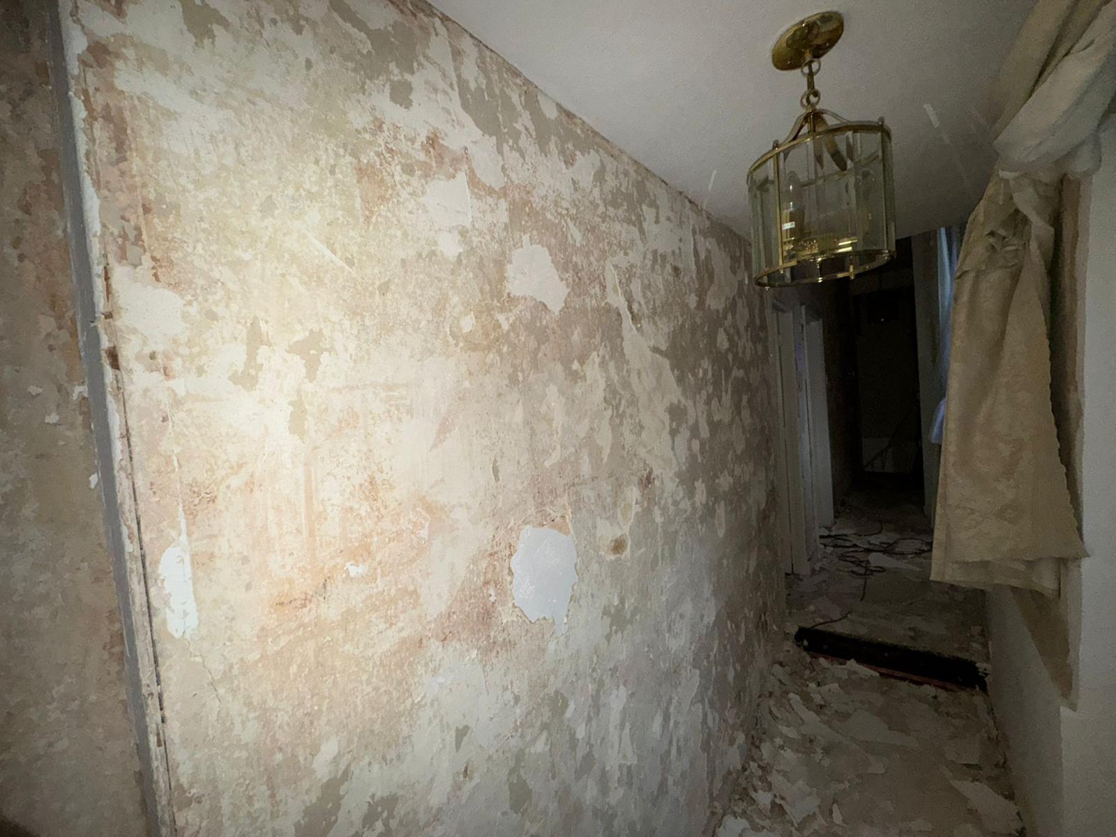 strip out contractors